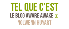 le blog Nolwenn Huyart
